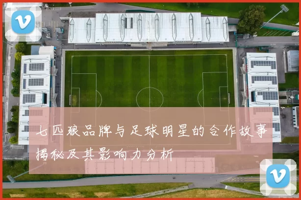七匹狼品牌与足球明星的合作故事揭秘及其影响力分析