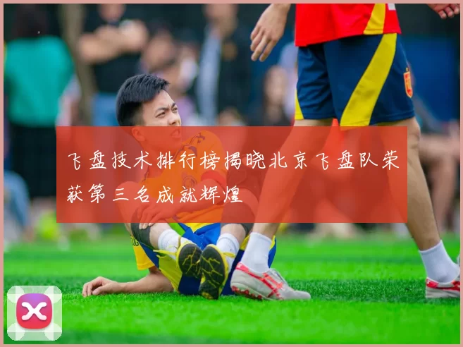 飞盘技术排行榜揭晓北京飞盘队荣获第三名成就辉煌