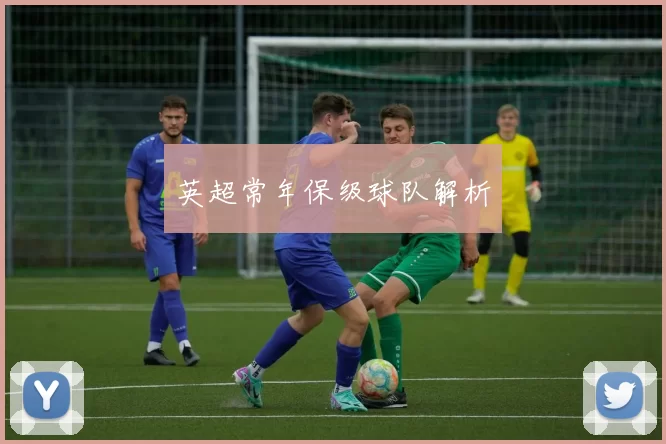 英超常年保级球队解析