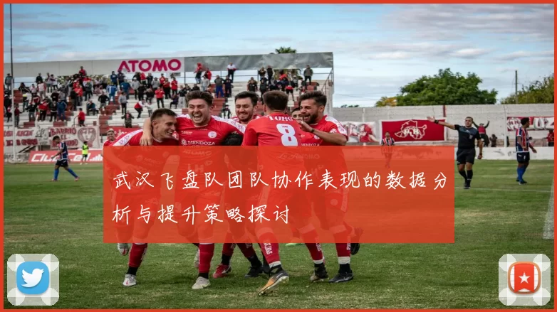 武汉飞盘队团队协作表现的数据分析与提升策略探讨