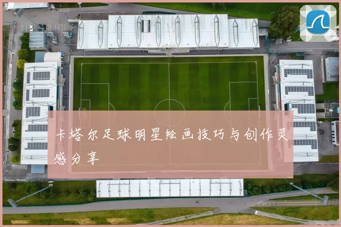 卡塔尔足球明星绘画技巧与创作灵感分享