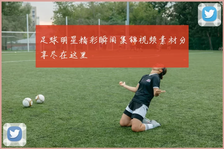 足球明星精彩瞬间集锦视频素材分享尽在这里