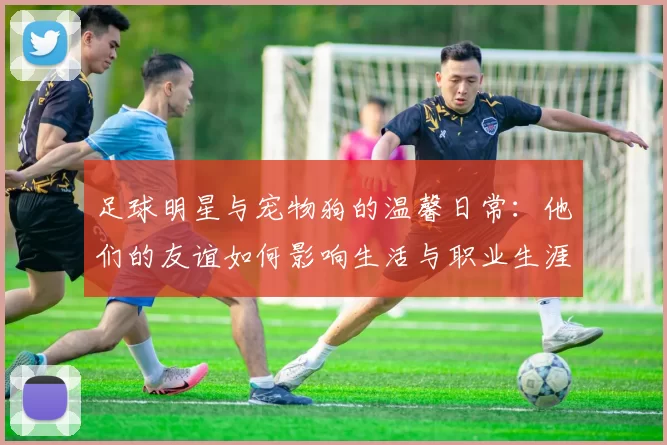 足球明星与宠物狗的温馨日常：他们的友谊如何影响生活与职业生涯