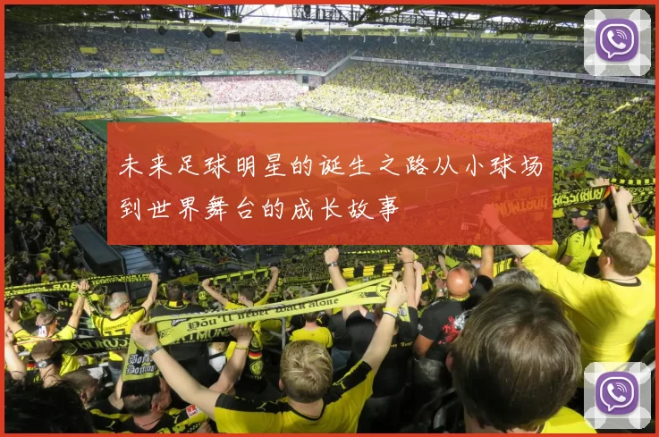 未来足球明星的诞生之路从小球场到世界舞台的成长故事