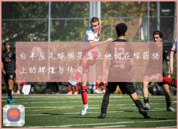 白羊座足球明星盘点他们在绿茵场上的辉煌与传奇
