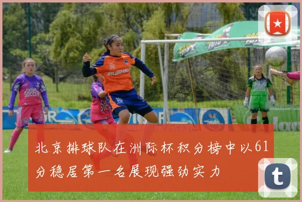 北京排球队在洲际杯积分榜中以61分稳居第一名展现强劲实力