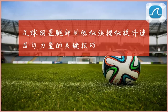 足球明星腿部训练秘诀揭秘提升速度与力量的关键技巧