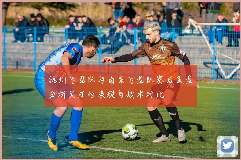 杭州飞盘队与南京飞盘队赛后复盘分析灵活性表现与战术对比
