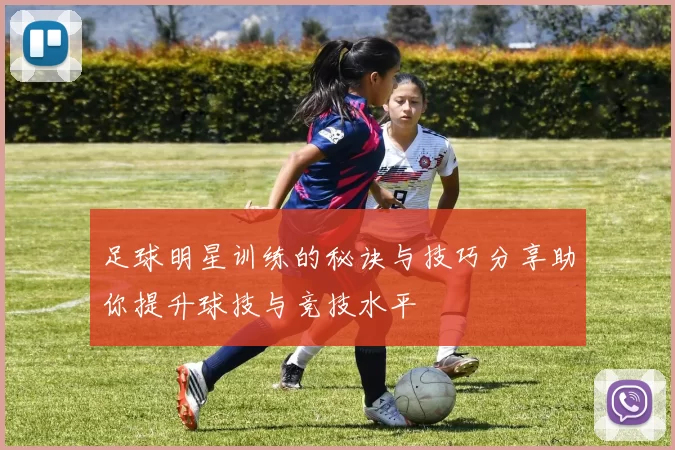 足球明星训练的秘诀与技巧分享助你提升球技与竞技水平