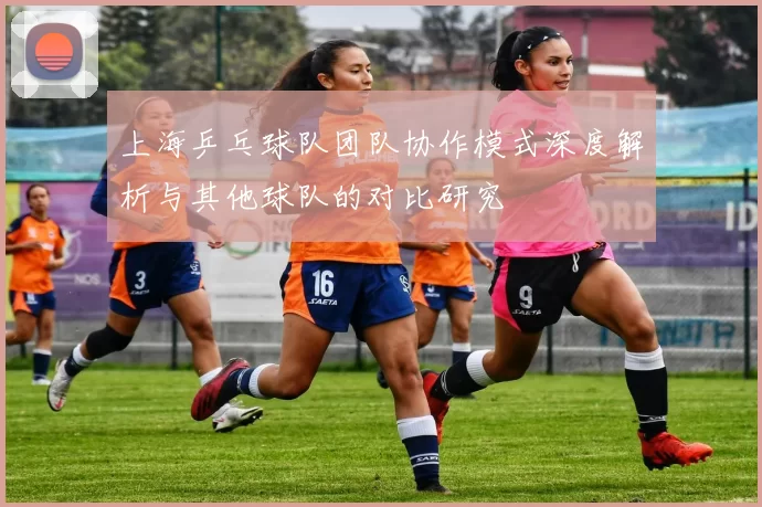 上海乒乓球队团队协作模式深度解析与其他球队的对比研究