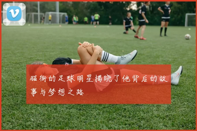 猫街的足球明星揭晓了他背后的故事与梦想之路