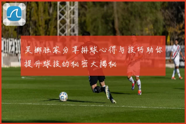 吴娜独家分享排球心得与技巧助你提升球技的秘密大揭秘