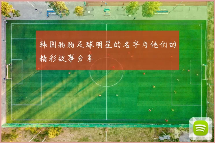 韩国狗狗足球明星的名字与他们的精彩故事分享