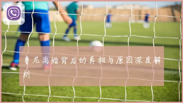 鲁尼离婚背后的真相与原因深度解析