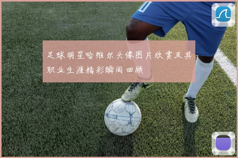 足球明星哈维尔头像图片欣赏及其职业生涯精彩瞬间回顾