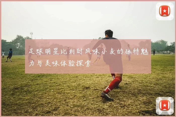 足球明星比利时风味小麦的独特魅力与美味体验探索