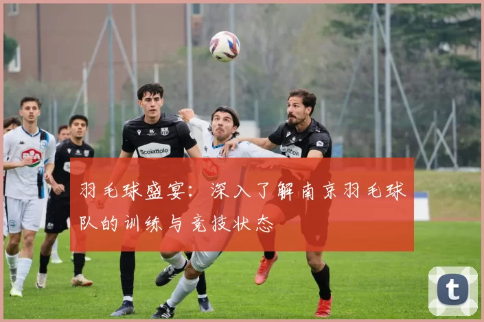 羽毛球盛宴：深入了解南京羽毛球队的训练与竞技状态