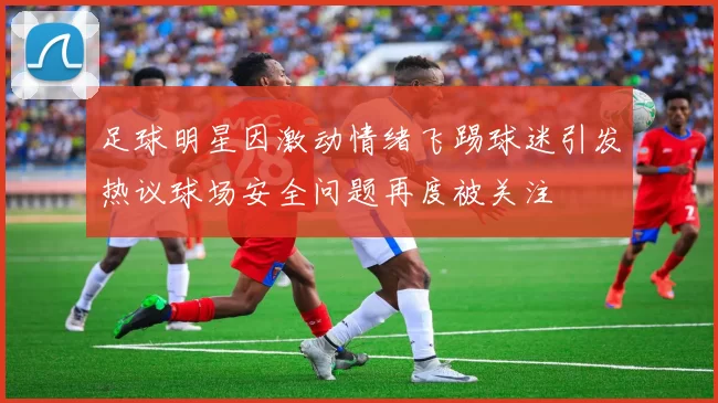 足球明星因激动情绪飞踢球迷引发热议球场安全问题再度被关注