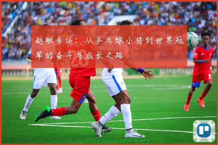 赵敏专访：从乒乓球小将到世界冠军的奋斗与成长之路
