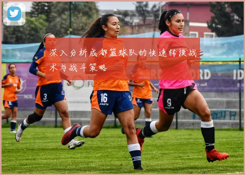 深入分析成都篮球队的快速转换战术与战斗策略